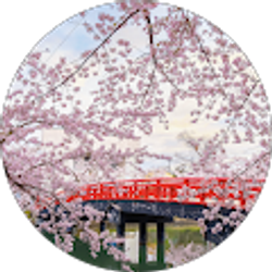 Profile photo of Ashleigh McCafferty