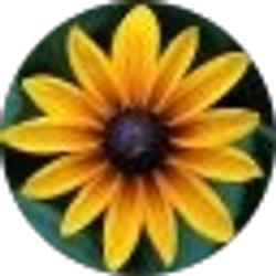 Profile photo of Kudra Tor