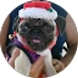 Profile photo of Shlrley Lasdin