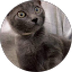 Profile photo of Elisabeth Vu