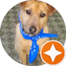 Profile photo of Christopher Swanson