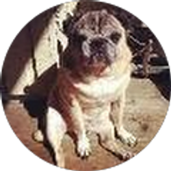 Profile photo of Eddie Bugayong Jr