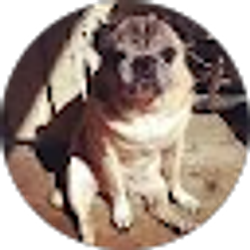 Profile photo of Eddie Bugayong Jr