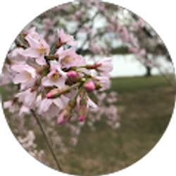 Profile photo of arturo