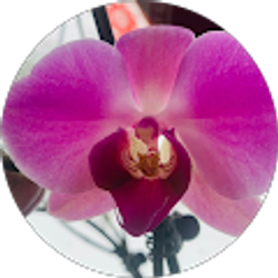 Profile photo of Christine Leng