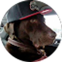 Profile photo of Willis Green