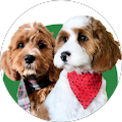 Profile photo of Tina Alexander