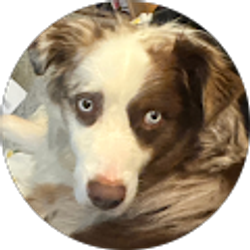 Profile photo of Pascal Duarte