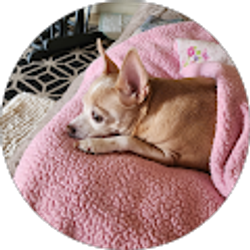 Profile photo of Gaye Dunaway