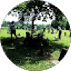 Profile photo of Leigh Taylor