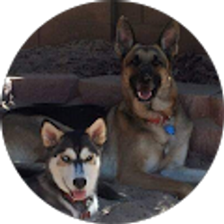 Profile photo of Patrick Cunningham