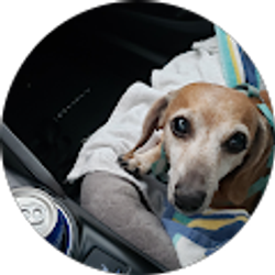 Profile photo of Greg Gibson