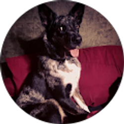 Profile photo of Richard Mutz