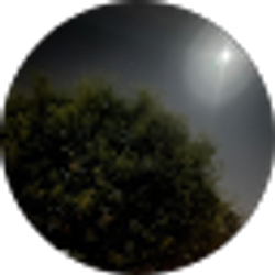 Profile photo of Mary