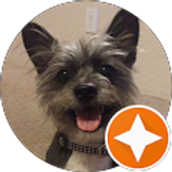 Profile photo of Aimee M