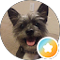Profile photo of Aimee M