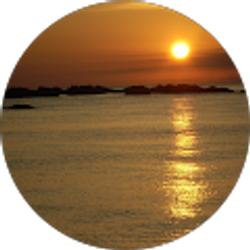 Profile photo of Michael Sammet Sr