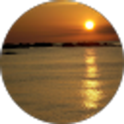 Profile photo of Michael Sammet Sr