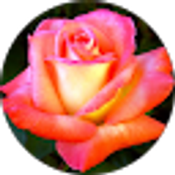 Profile photo of Juanita Jasso