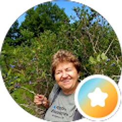 Profile photo of Nedja Nellie Tomicic