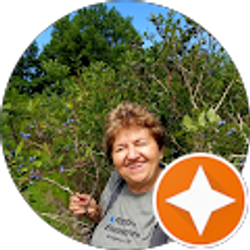 Profile photo of Nedja Nellie Tomicic