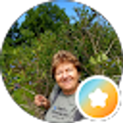 Profile photo of Nedja Nellie Tomicic
