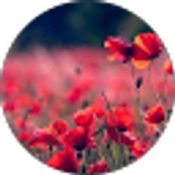 Profile photo of Jennifer Hill