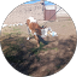 Profile photo of Josue Vasquiz