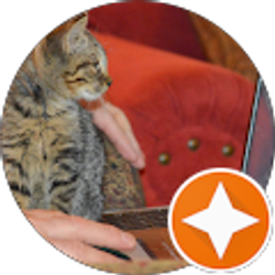 Profile photo of Sara Rawlins