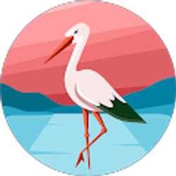 Profile photo of Renzo Tapia