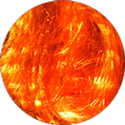 Profile photo of Cobie Hall