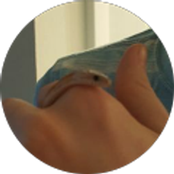 Profile photo of Charles Vorse