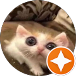 Profile photo of Daniela Andrade