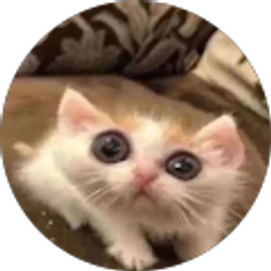 Profile photo of Daniela Andrade