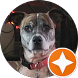 Profile photo of K Howard (Khow)