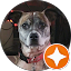 Profile photo of K Howard (Khow)