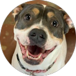 Profile photo of Melanie Batke