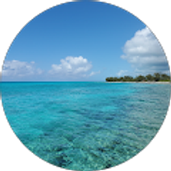 Profile photo of Stines