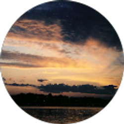 Profile photo of Fran Dandeneau