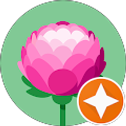 Profile photo of MeFirst MeLast