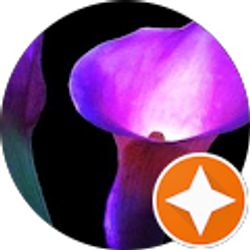 Profile photo of Just Smile