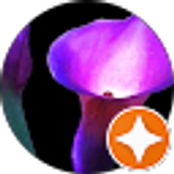 Profile photo of Just Smile