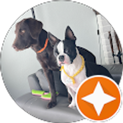 Profile photo of a krevus