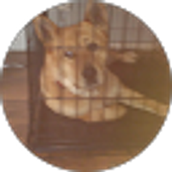 Profile photo of Vnxco