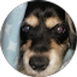 Profile photo of Alina Glon