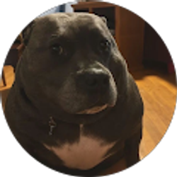Profile photo of Brian Moore