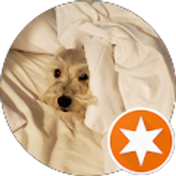 Profile photo of K A