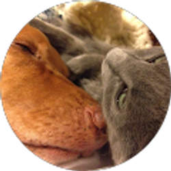 Profile photo of Jenny Brewster