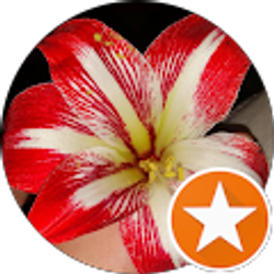 Profile photo of Kaitlyn Baitsholts