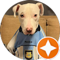 Profile photo of Gabriel Llinas